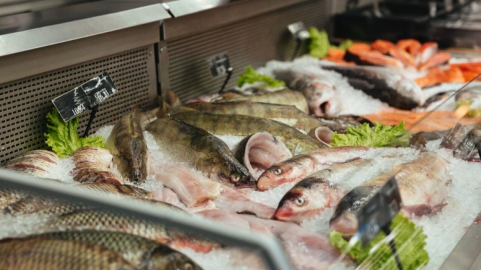 На некоторую рыбу с головой лучше не смотреть — ночью будут сниться кошмары: какие «монстры» продаются в виде тушек