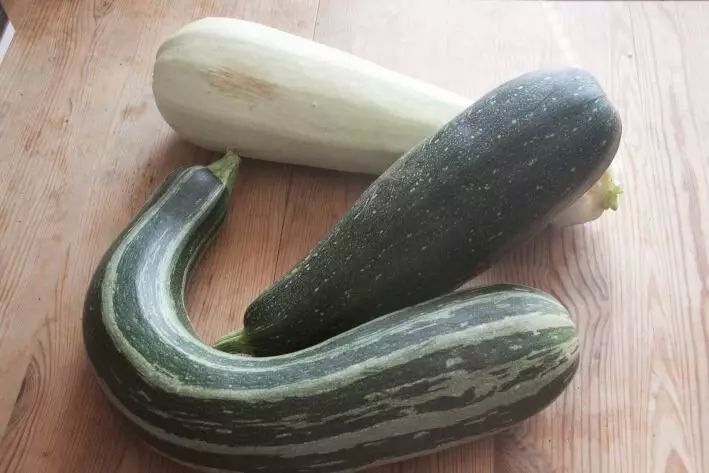   ?    