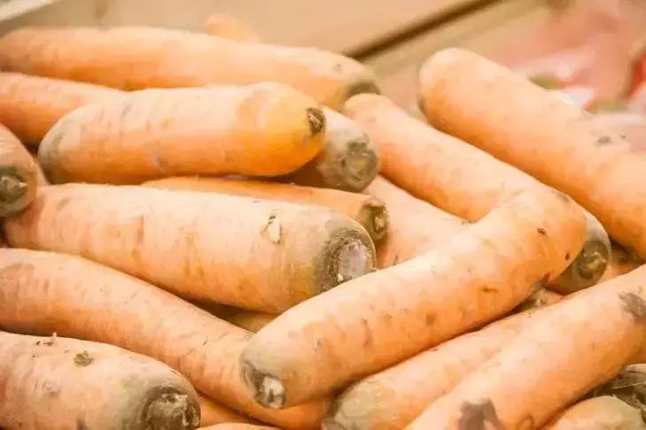 2 роковые ошибки при посеве моркови, которые оставят вас без урожая
