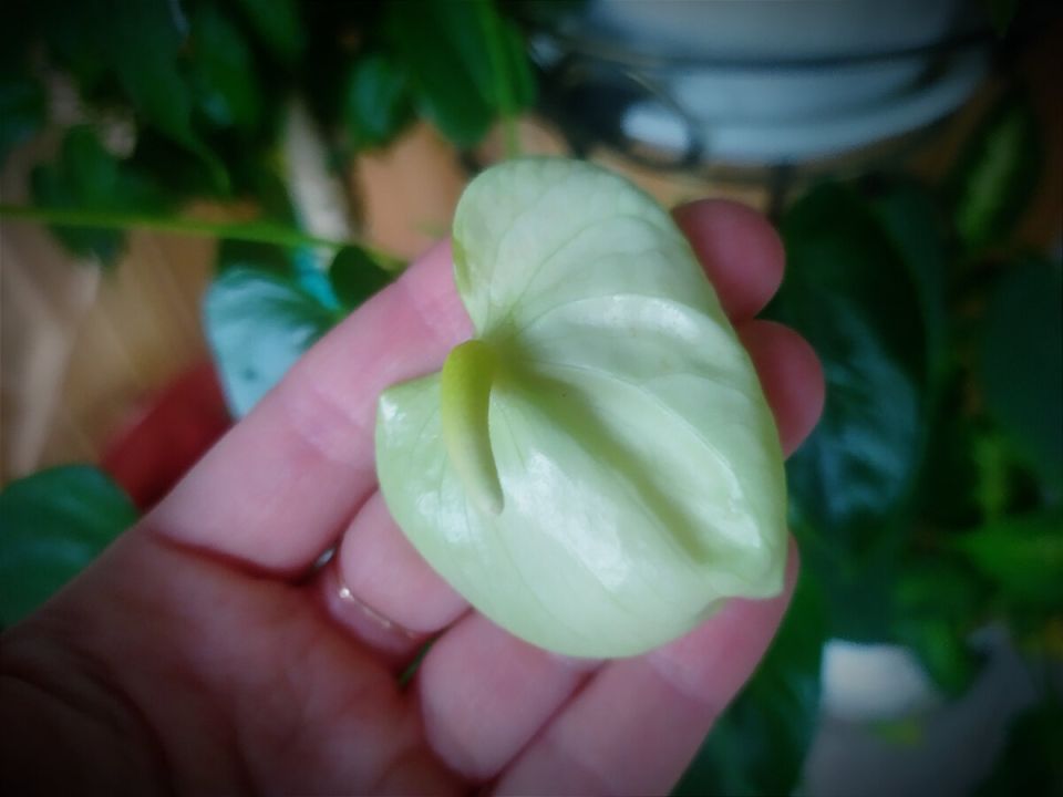     ? 5      