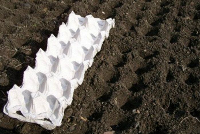 Многофункциональные бумажные лотки для яиц: одноразовый предмет с множеством возможностей