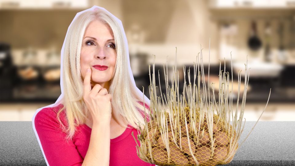 Спасаем картофель: если появились ростки, поможет всего одна хитрость