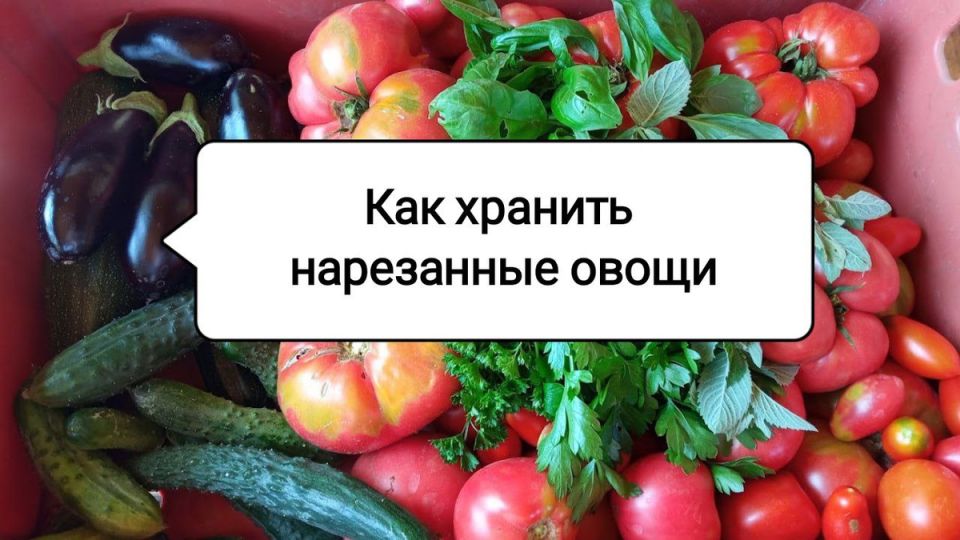 Поддержите свежесть нарезанных огурцов и помидоров: простые советы по хранения