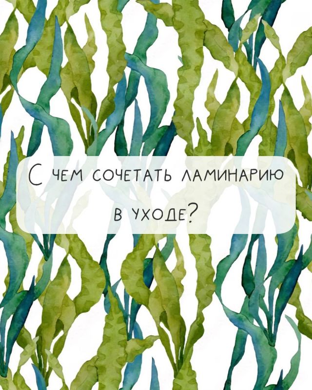 Ламинария: идеальный союзник в уходе за кожей
