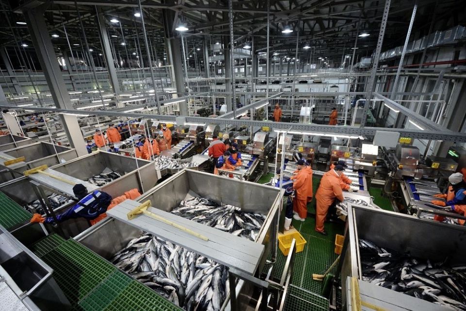 Единый преференциальный режим: что он принесет бизнесу на Дальнем Востоке и в Арктике?