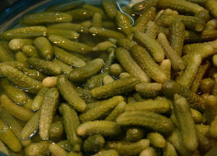 Огурцы "Феникс 640": Бесподобные сорта для поздних урожаев и аппетитных закусок