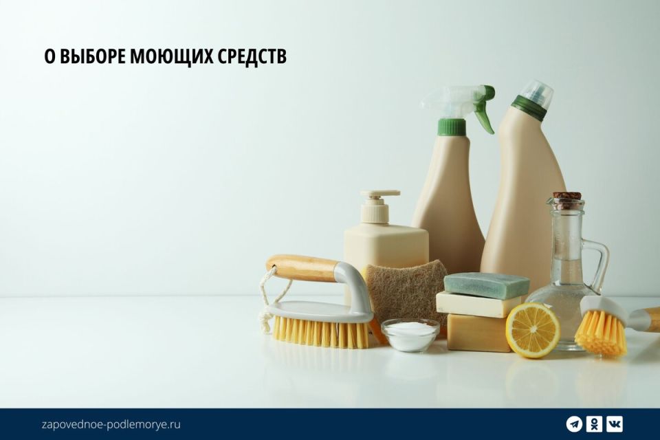 Экологическая ловушка: как биоразлагаемые моющие средства угрожают уникальному Байкалу