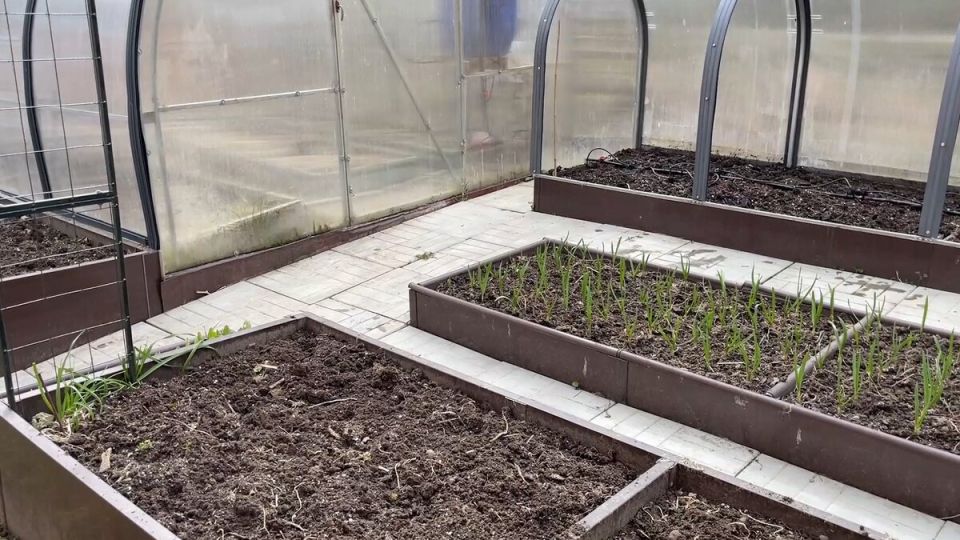 Как преобразить огород к новому сезону: шаги к здоровому урожаю