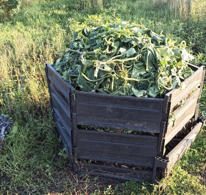 Компост: Как превратить органические отходы в настоящее удобрение