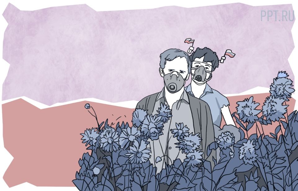 Сорняк на даче: почему борщевик Сосновского стал угрозой для владельцев участков