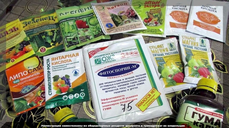 Биопрепараты: Как защитить урожай и улучшить почву в 2025 году