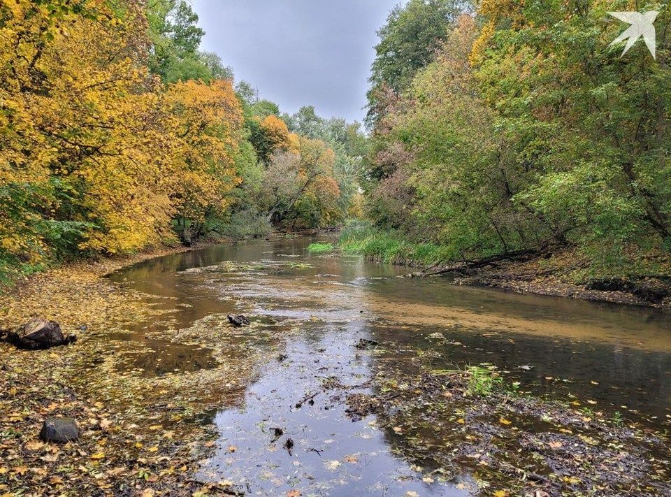 Ноябрь 2025: важные изменения в жизни белорусов, которые стоит знать