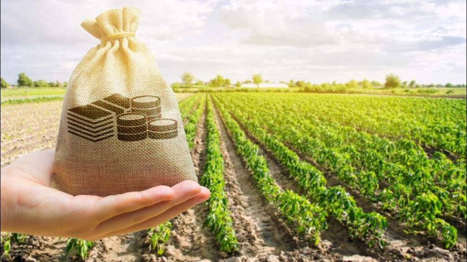 Как избежать потери земельного участка: уроки из дела Горохова