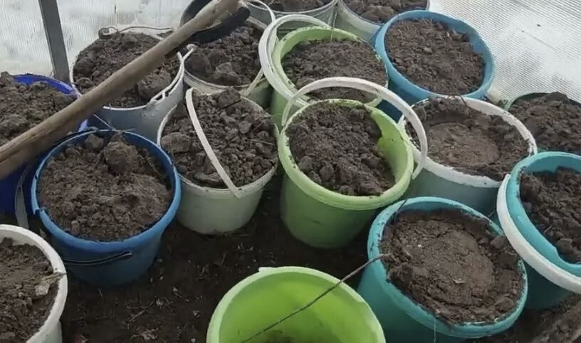 Секреты осенней заготовки грунта для крепкой рассады: советы от опытных садоводов