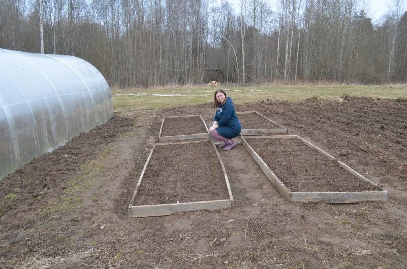 Как правильно подготовить грядку для озимого чеснока: секреты выбора сидератов