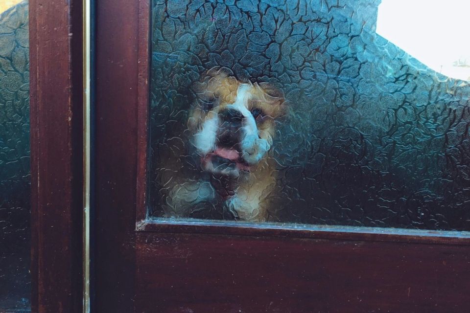 Как эффективно очищать матовое стекло: секреты идеальной чистоты