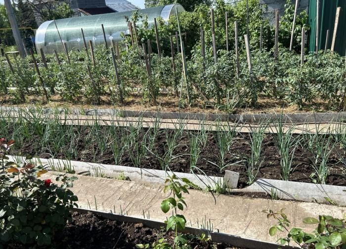 ������� �������� ������� ������� ���������