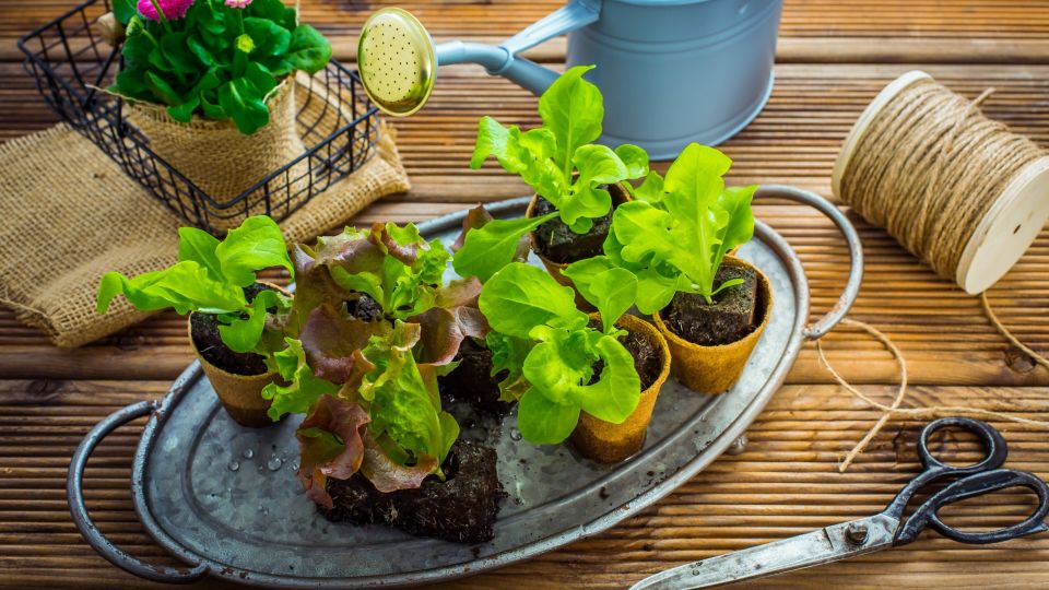 �� ������������ ������� ������ � ��������: ��� ��� ����� ��������� ������