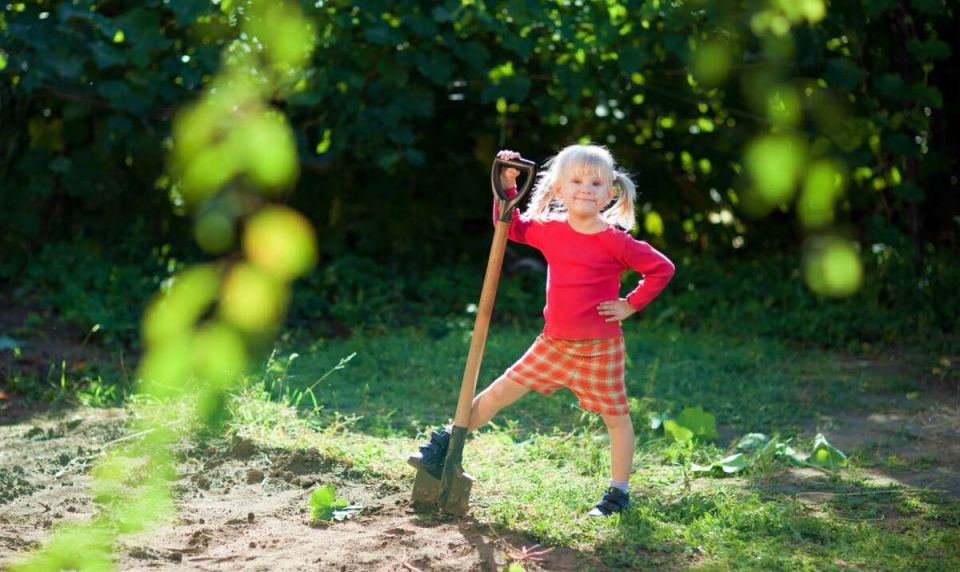 ������� ��������� �������: ��� ��������� ����� � ������ ������ � ������