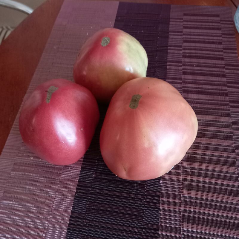 ������������ �� ����: ��� ���� ���������� ������ � ���� ����� � �������� ���������� �������� �����