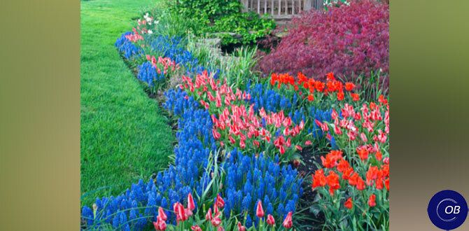 ��� �������� ������� ����� ����������� ��� ���