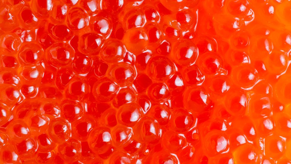 ����� ������� ����: ��� �� ��������� �� ������ ��������������