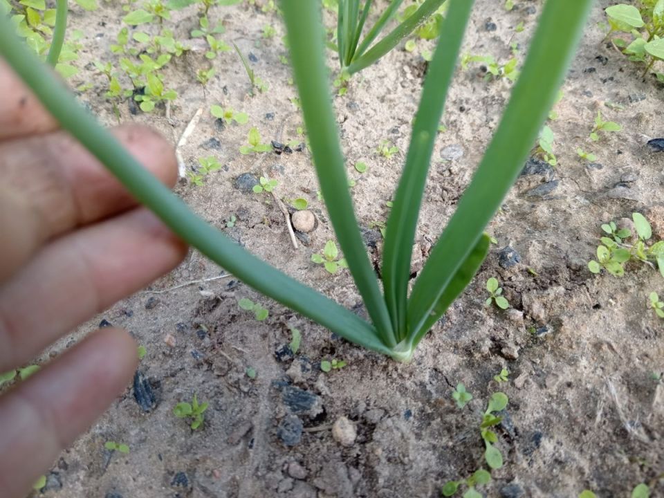 ��� ��������� ������������� ��� � ���� ��� �������� ������