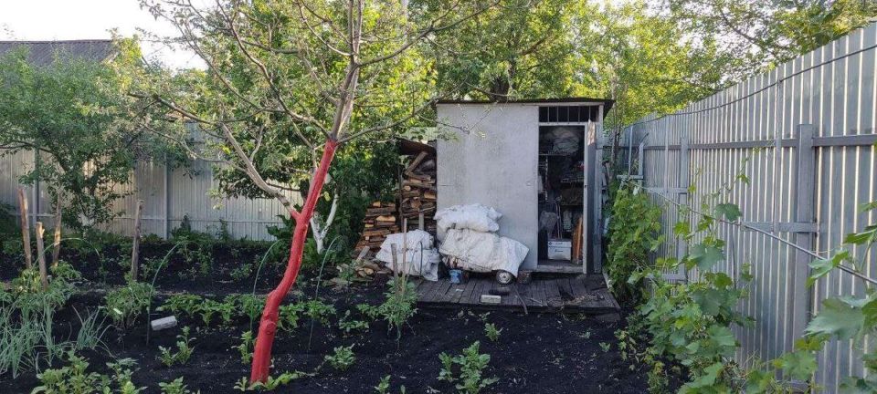 ����������� ����� �����������: ��� ������ ��� ��������?