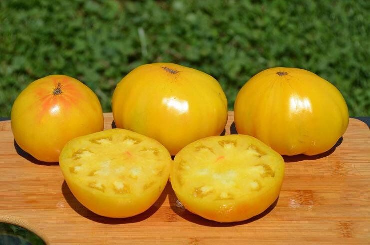 ������ ��� ��������: �������� ������� � ��������� ������ �� 2025 ���