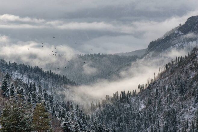 ����������� ��� �������: ����� ���������� ������� �������� ������ ��������� ����������