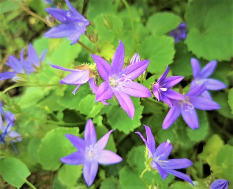 ������� �������� � ������������� ��������