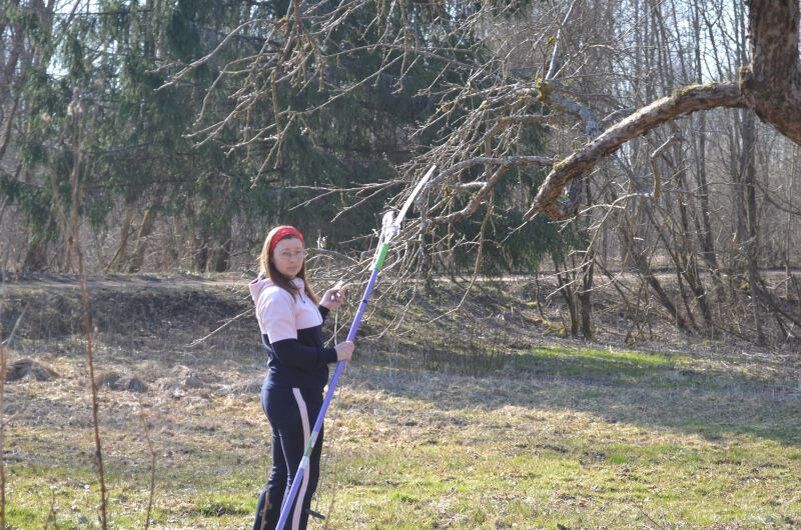 ������� ������: ��������� ������������ ��������������� ����� ��� �������� ������