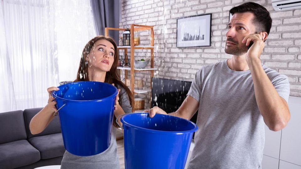 ��� �������� ���� ����� ��� ����������: ��������� ����������� ��� ������������