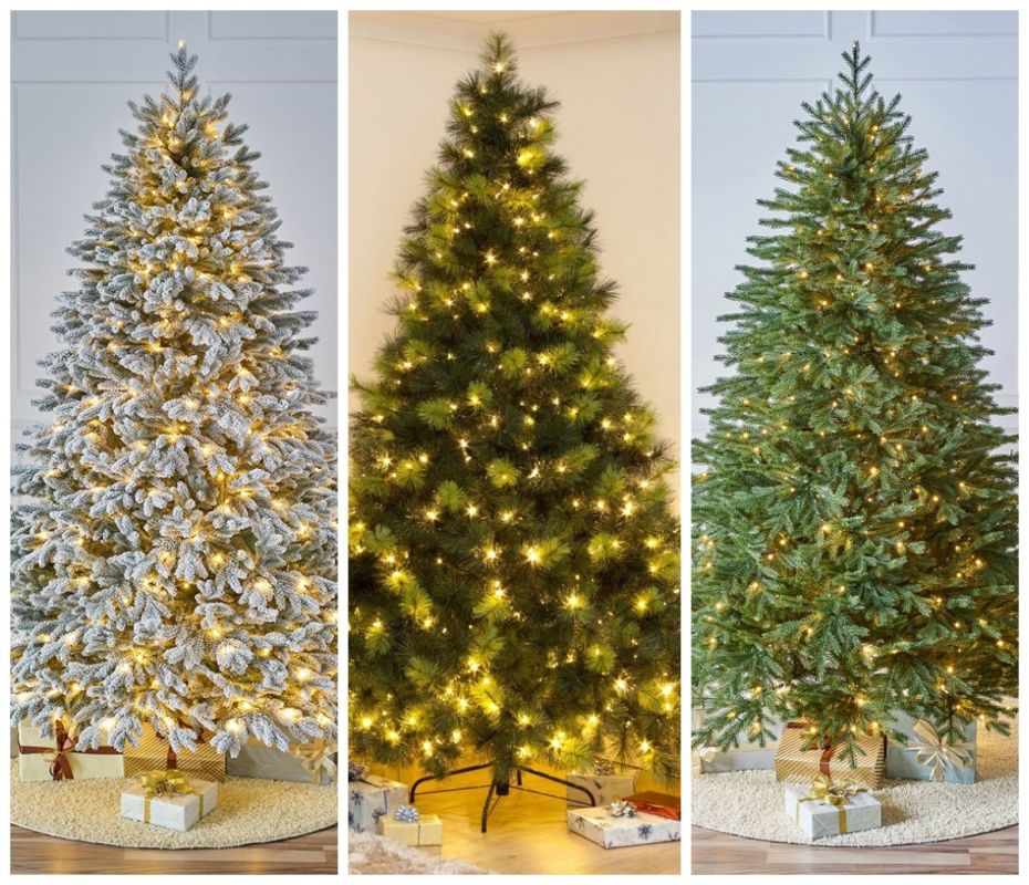 ��������� ����� ���: �������� ���� ��� ���� � 2025 ����