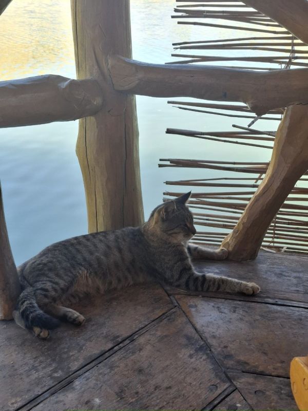 Гастрономические открытия: Армения на вкус и цвет