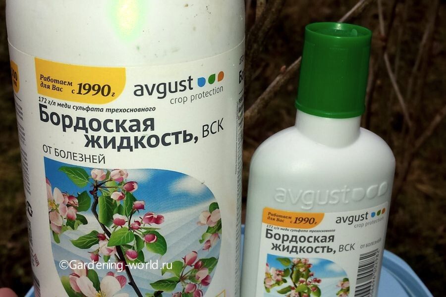 ��� ����������� ��������� �������� � ����� ��������� ��������� ����