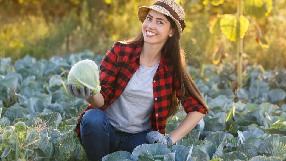 ����� ������� ������ � ����, ���������� �� ����: ������ �������� ������, ��� ������