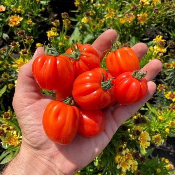 ����� ����� ���������: ��� ����� ������ ����������� ���� ����