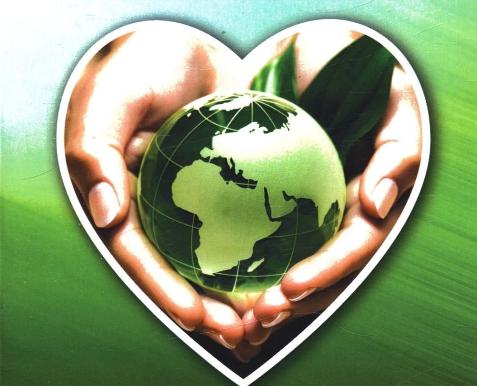 ��� ����������� ����� ����� ������ �� ��������: ������� ������ ���������� �������������