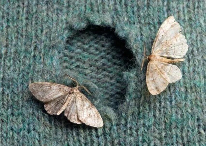 ��� �������� ���� � ����: ������� ������� ��� ����������� ������