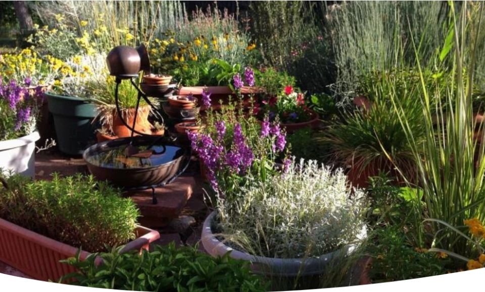 ������������ ���: ��� ������� ��������� ������� �� ����� �����������