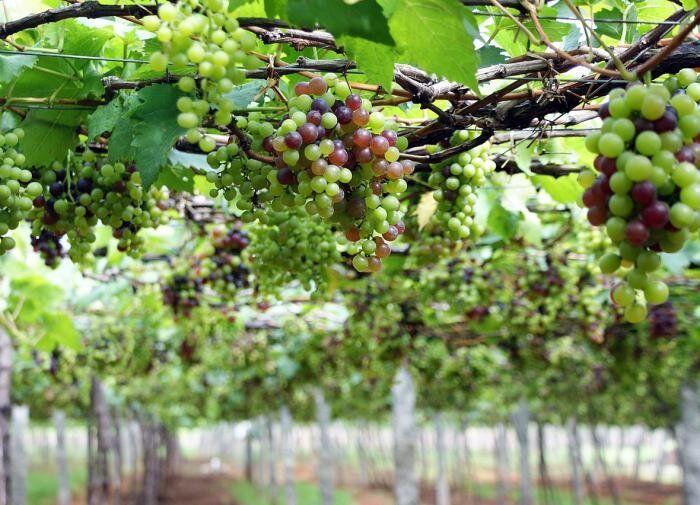 ������ ��� �������� ������� ���������