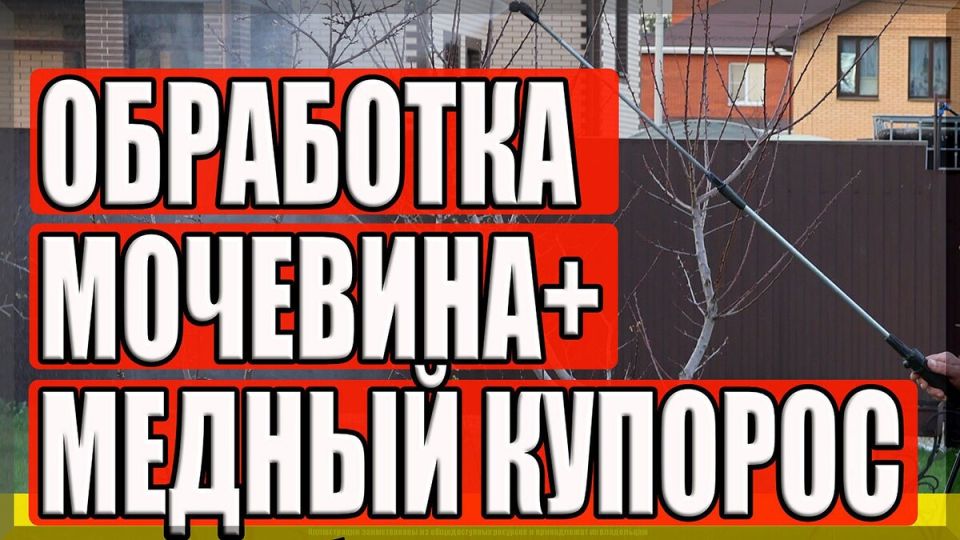 ����������� ��������� ��������: ���������� ��������� ��������� � ������� ��������