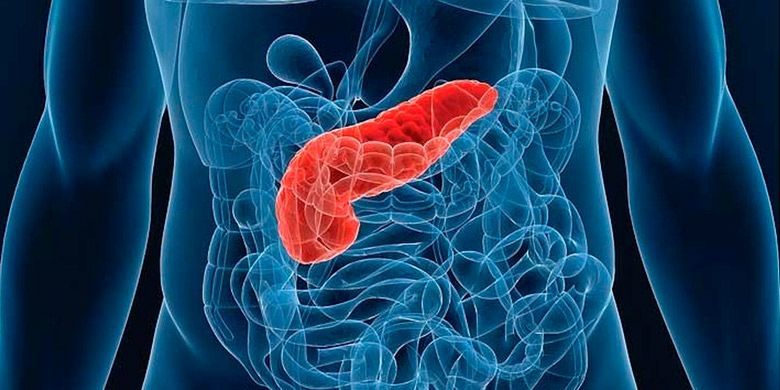 ��� ���� ������� ������� ������� ������ � �����: ����������� ��������