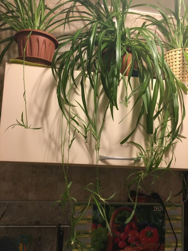 ����������: ��� ������� �������� �������� � ��������� ���� ��������� �� ���� ������