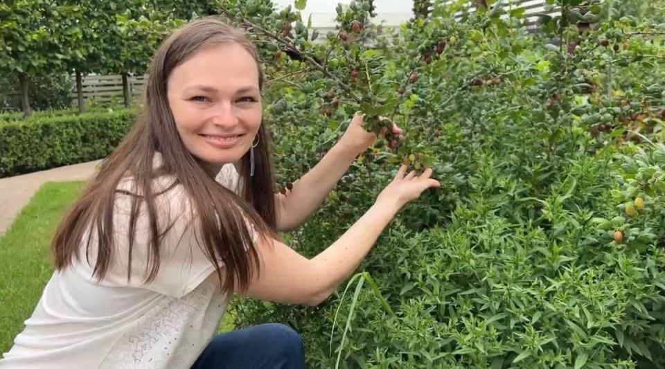 ��� ��������� ����� ������� ������: �������� ������� ��������