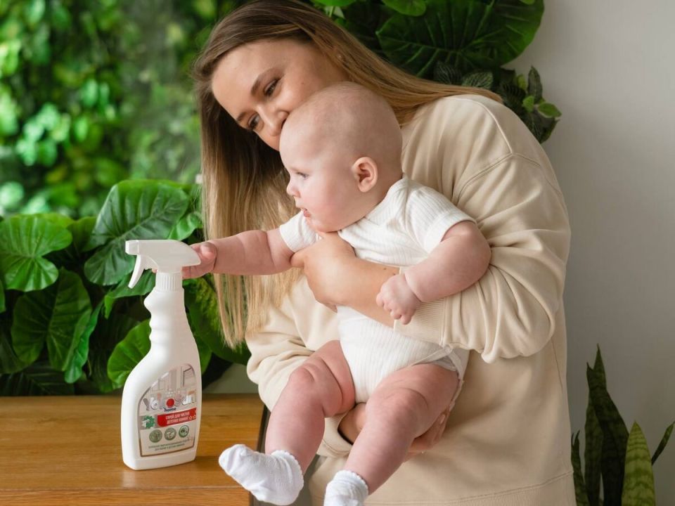 ������ � ������� �����: ������������ ����