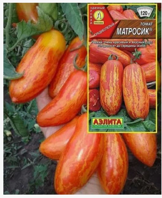 ��������� ��������: ���������� ����� �� ����� �������