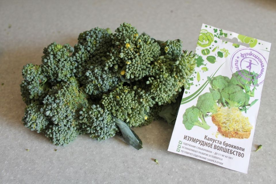 ����� � ������: ��������� ������� ��������� ��� ������ ��������