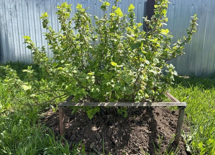 ��������� ��������� ���������